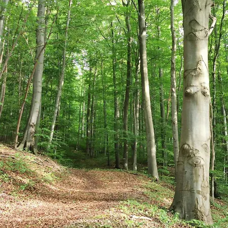 Appartement Rhoen *